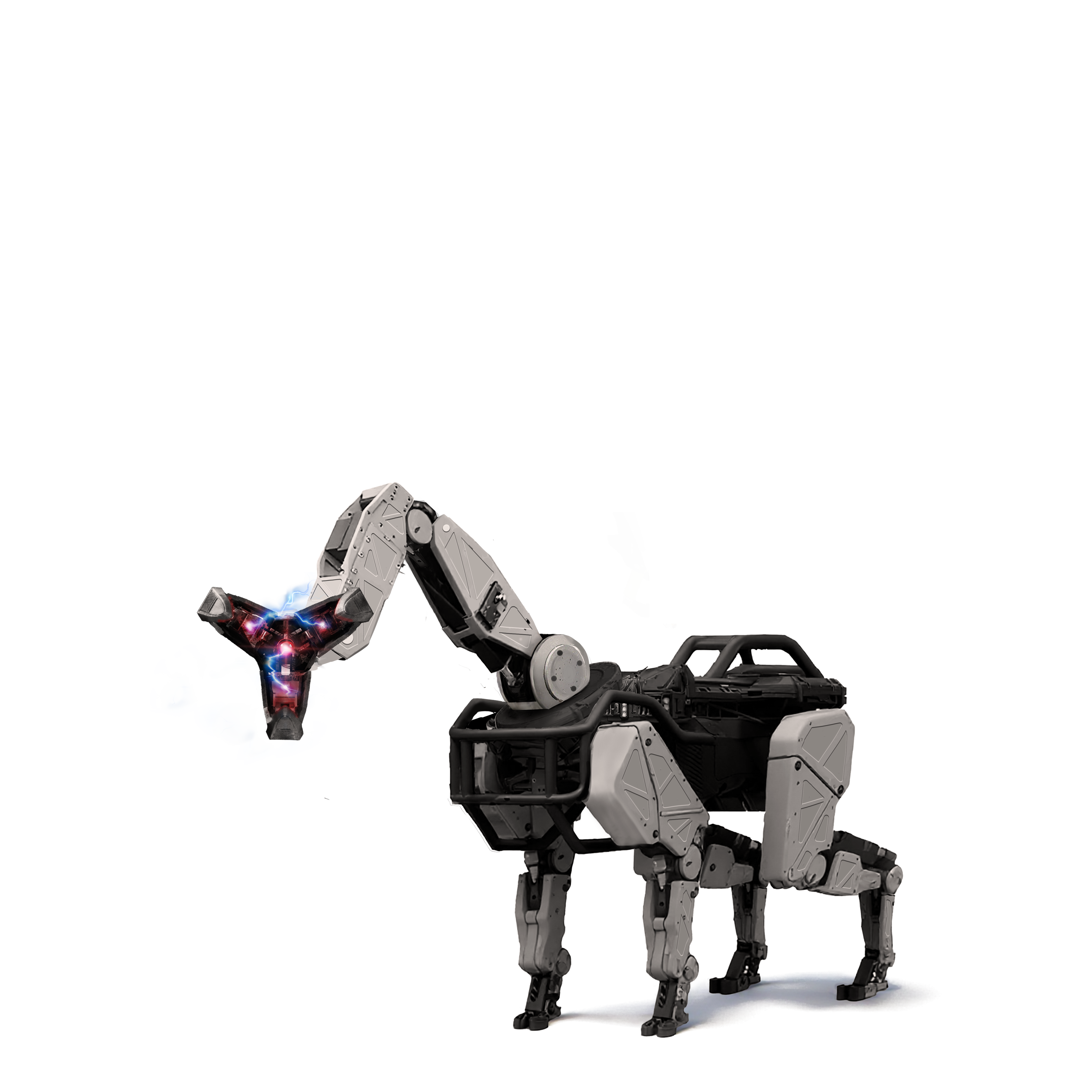 K9